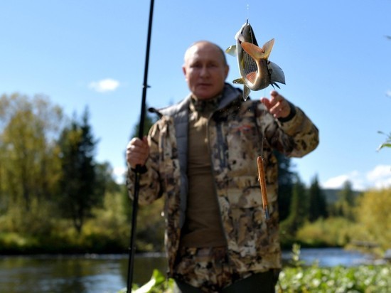 Стал известен разброс цен на отдых в тайге как у Путина