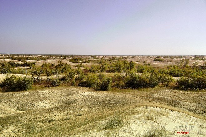 Украине предсказали превращение в пустыню за ближайшие десятки лет