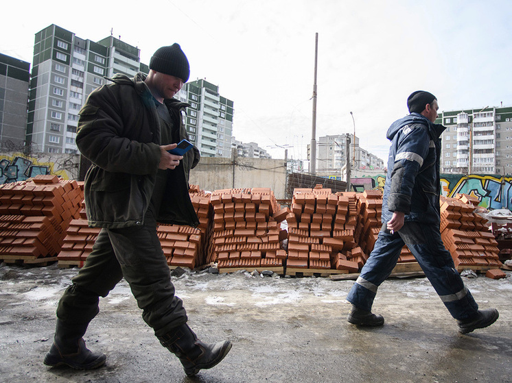 Профессор Зубец объяснил, чем грозит зависимость российского рынка труда от приезжих