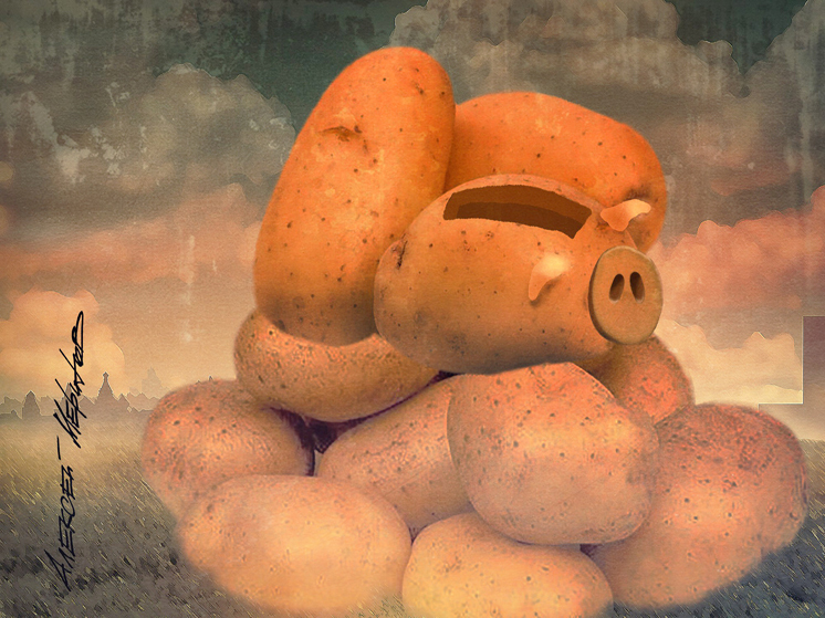 С ростом цен на картошку будут бороться государственным регулированием