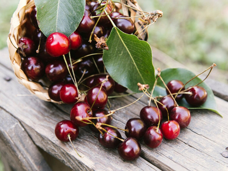 Черешня и вишня становятся «золотыми»: цены на фрукты и ягоды взлетели на рекордную высоту