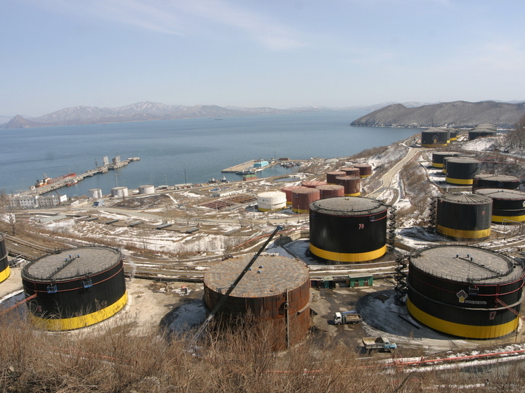 Индия может отказаться от поставок российской нефти: названы последствия