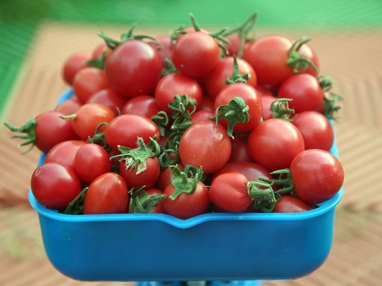 «Томатная война» Москвы и Баку пока не влияет на стоимость помидоров