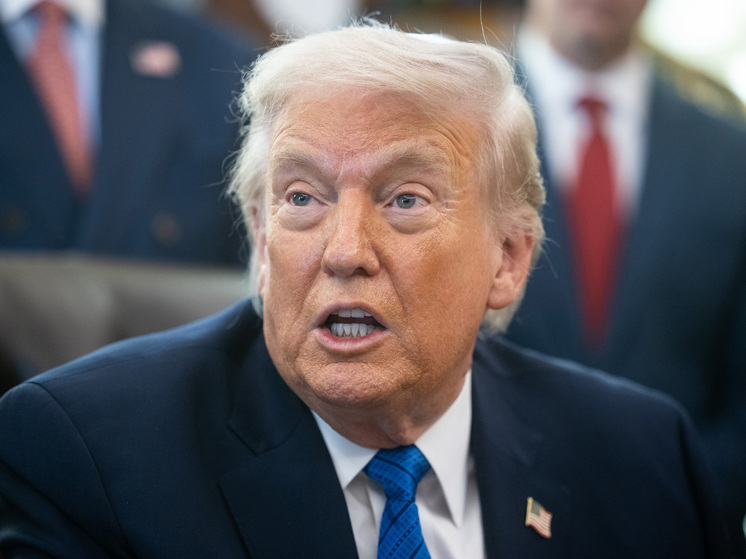 Хранилище для Трампа: зачем США создают стратегический запас редкоземельных металлов