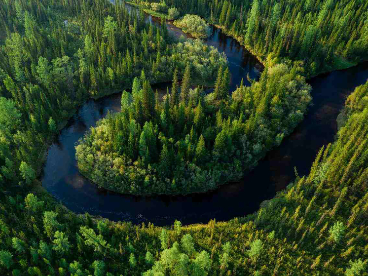 «Роснефть» вошла в число лидеров ESG-рейтингов российских и международных агентств