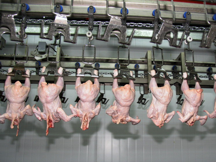 Россия может утратить статус лидера по самой дешевой курятине в странах G20